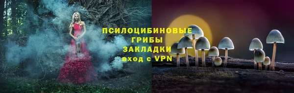 дмт Богородицк
