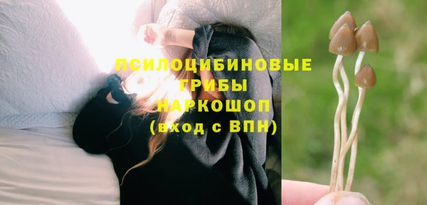 дмт Богородицк