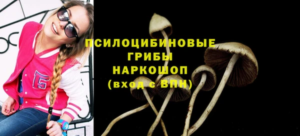 мет Богданович
