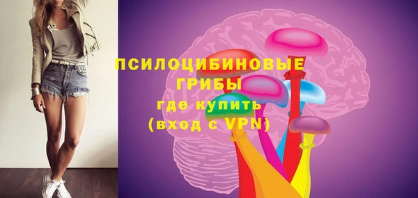 дмт Богородицк