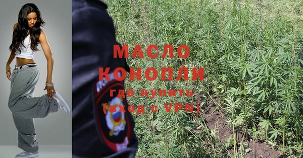 дмт Богородицк