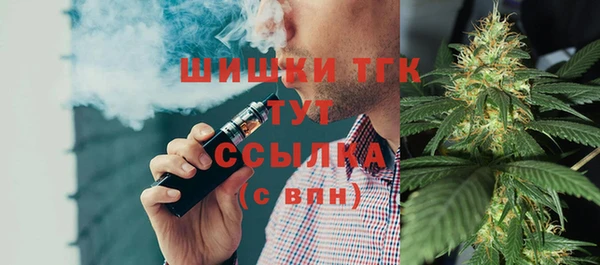 дмт Богородицк
