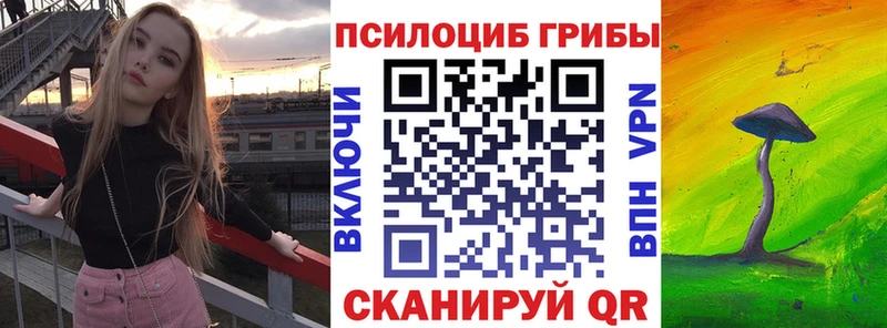 Купить где  Саянск  Псилоцибиновые грибы MAGIC MUSHROOMS 